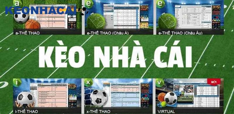 Cập nhật tỷ lệ kèo cược nhanh chóng và rất chính xác