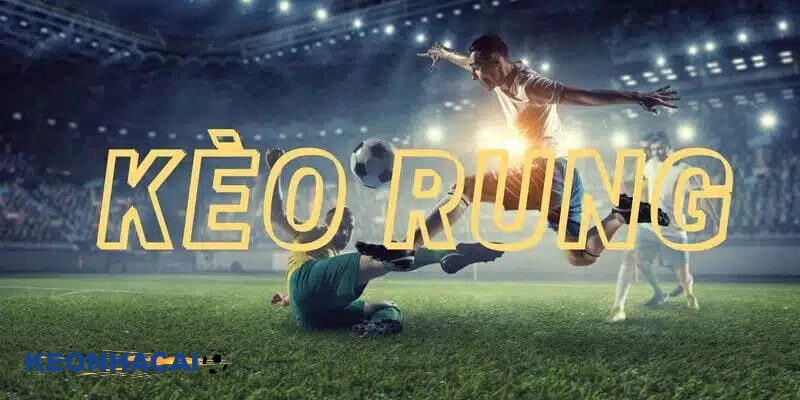 Hướng dẫn cách đánh kèo rung cơ bản cho newbie