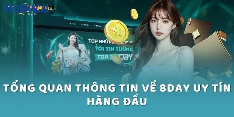 Giới thiệu về 8Day – Uy tín làm nên thương hiệu