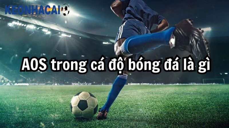 Aos trong cá độ bóng đá là gì? Sự thật về việc người chơi thường thua cuộc